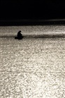 dailyPhoto32